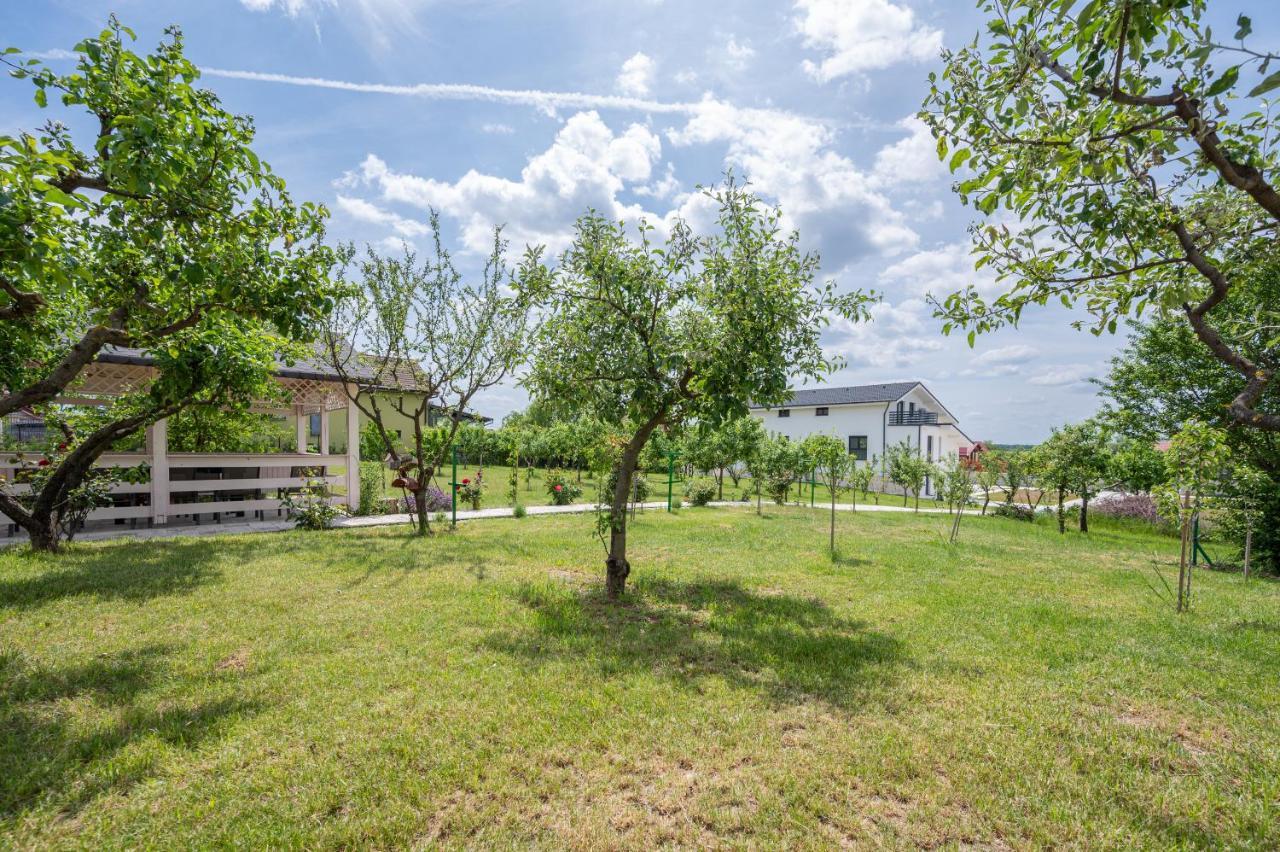 Apartmán Casa Fischer Ciheiu Exteriér fotografie